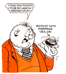 Panel from *The Beano* of Fatty marrying a potato